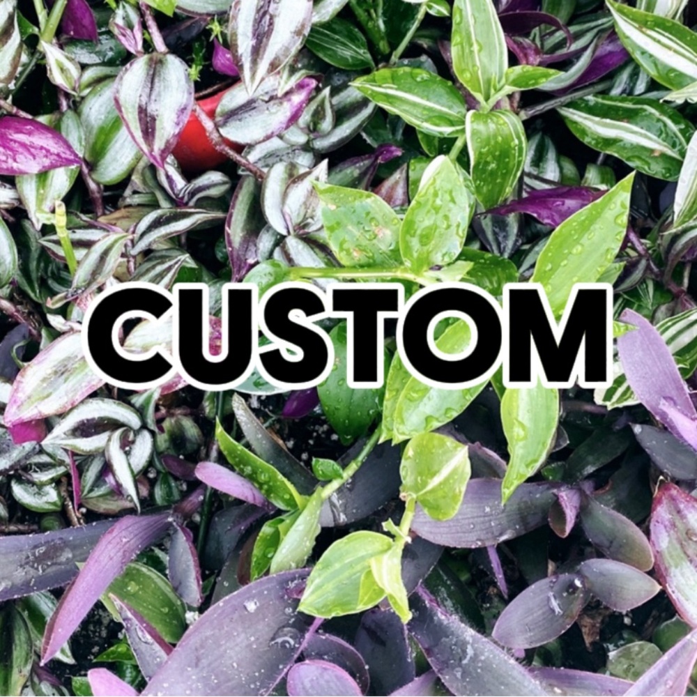 Custom for @tcdoerrbeauty